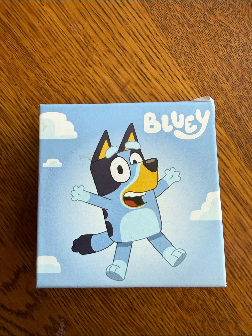 NEW IN BOX – Officially Licensed Bluey 18K Gold Flash-Plated Charm Necklace